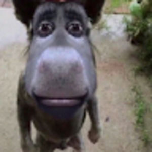 Meet your Posher, Aaron